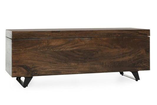 Kosas Home - Axis 46in Storage Trunk Dark Brown - 52005585 veiw 1