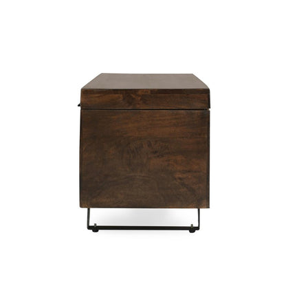 Kosas Home - Axis 46in Storage Trunk Dark Brown - 52005585 veiw 3