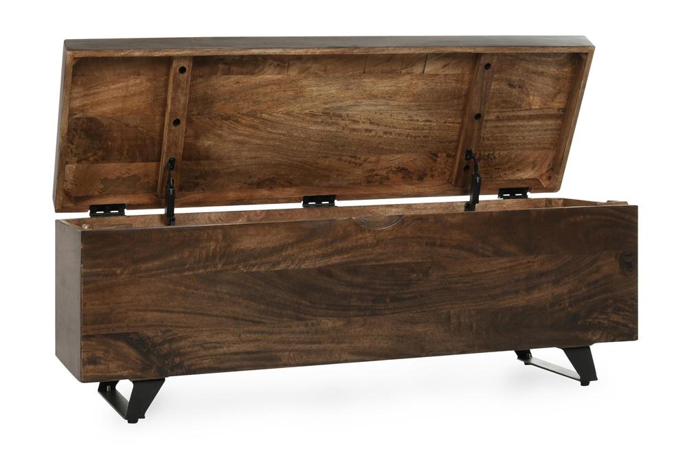 Kosas Home - Axis 46in Storage Trunk Dark Brown - 52005585 veiw 4