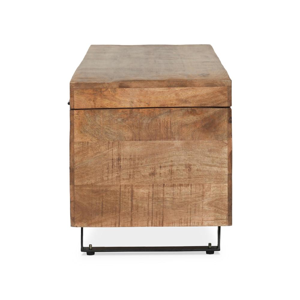 Kosas Home - Axis 46 inch Storage Trunk  - PL10216 veiw 3