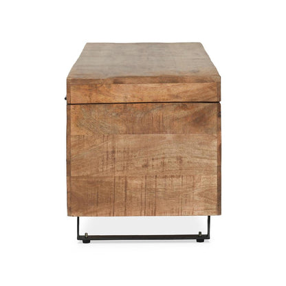 Kosas Home - Axis 46 inch Storage Trunk  - PL10216 veiw 3