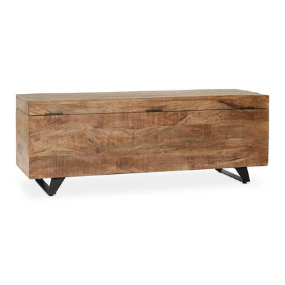 Kosas Home - Axis 46 inch Storage Trunk  - PL10216 veiw 4