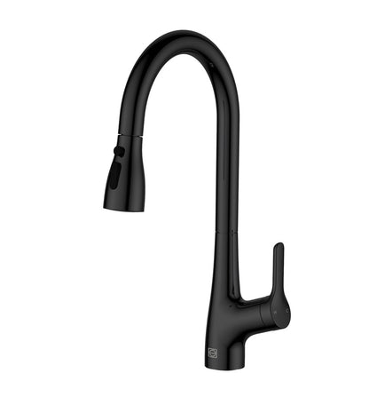 Elegant Furniture & Lighting - Andrea Single Handle Pull Down Sprayer Kitchen Faucet in Matte Black - FAK-305MBK veiw 1