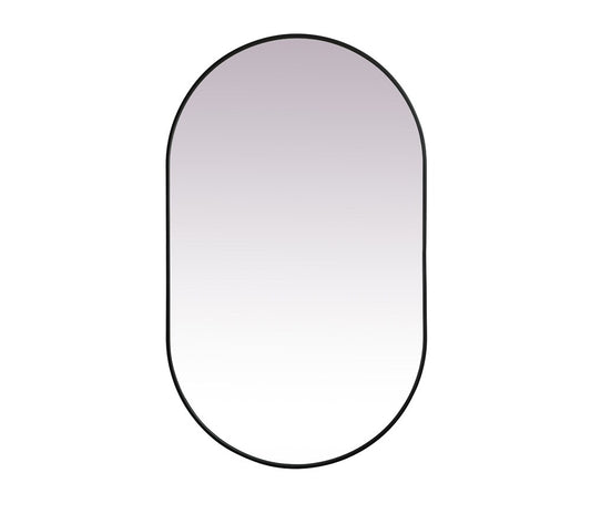 Elegant Furniture & Lighting - Asha Metal Frame Oval Mirror 36x60 Inch in Black - MR2A3660BLK veiw 1