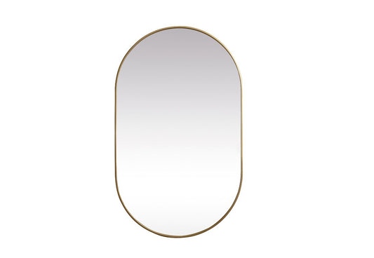 Elegant Furniture & Lighting - Asha Metal Frame Oval Mirror 36x60 Inch in Brass - MR2A3660BRS veiw 1