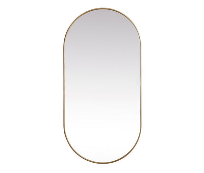 Elegant Furniture & Lighting - Asha Metal Frame Oval Mirror 36x72 Inch in Brass - MR2A3672BRS veiw 1