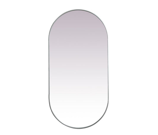Elegant Furniture & Lighting - Asha Metal Frame Oval Mirror 36x72 Inch in Silver - MR2A3672SIL veiw 1