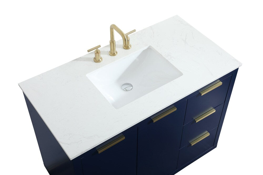 Elegant Furniture & Lighting - Blake 42 inch Single bathroom vanity in blue - VF19442BL veiw 3