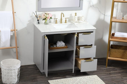 Elegant Furniture & Lighting - Blake 42 inch Single bathroom vanity in grey - VF19442GR veiw 10