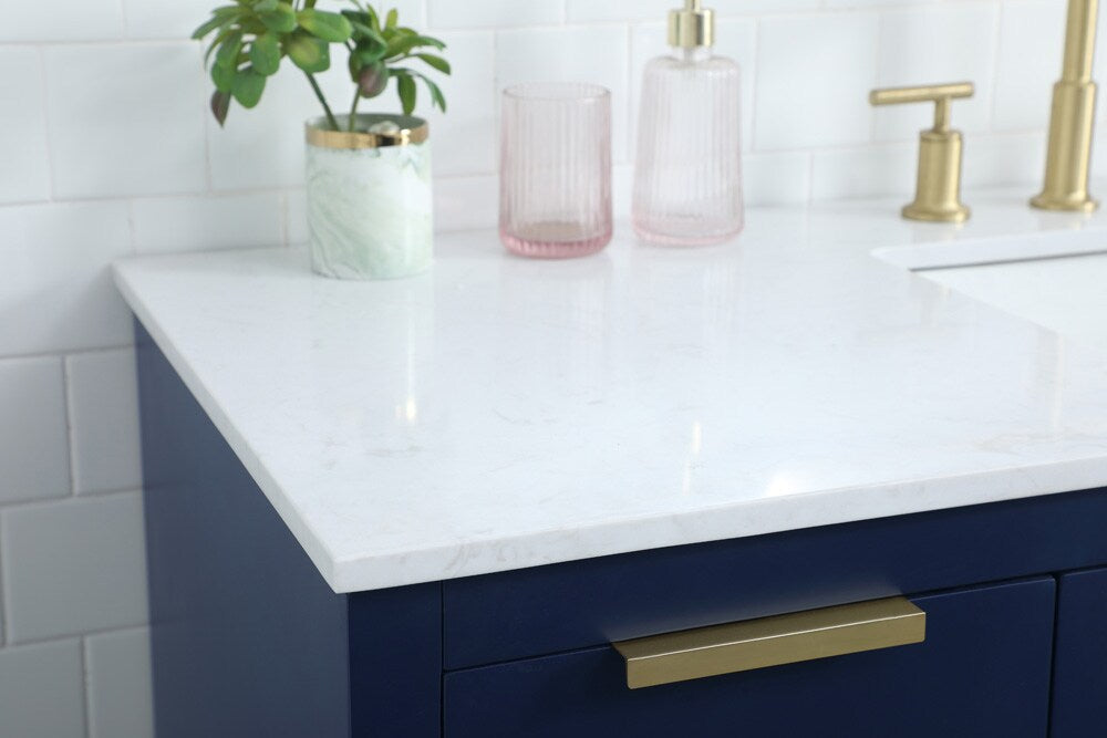 Elegant Furniture & Lighting - Blake 54 Inch SIngle Bathroom Vanity In Blue - VF19454BL veiw 6