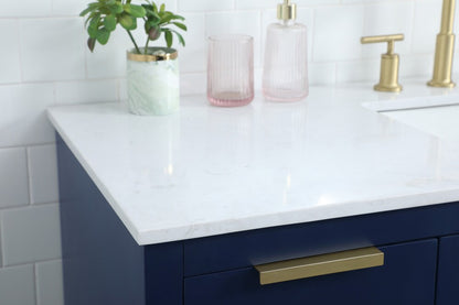 Elegant Furniture & Lighting - Blake 54 Inch SIngle Bathroom Vanity In Blue - VF19454BL veiw 6