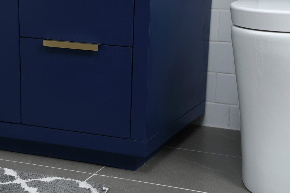 Elegant Furniture & Lighting - Blake 54 Inch SIngle Bathroom Vanity In Blue - VF19454BL veiw 7