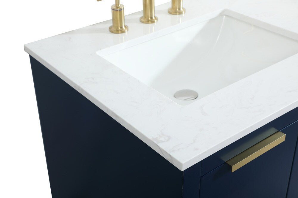 Elegant Furniture & Lighting - Blake 60 inch double bathroom vanity in blue - VF19460DBL veiw 4