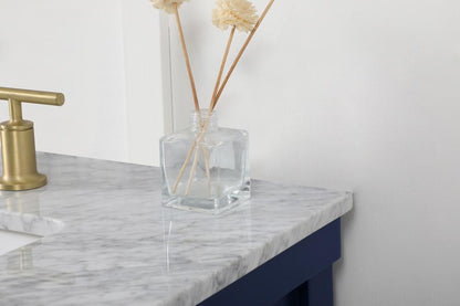 Elegant Furniture & Lighting - Clement 72 inch double bathroom vanity in blue - VF60172DBL veiw 6