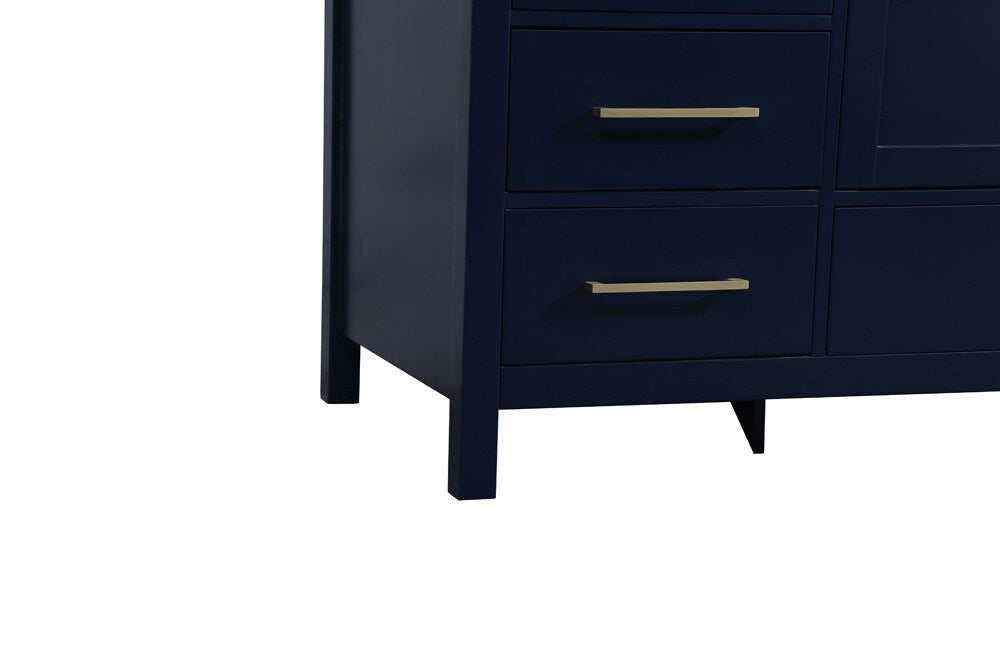 Elegant Furniture & Lighting - Irene 60 inch Single bathroom vanity in blue - VF18860BL veiw 6