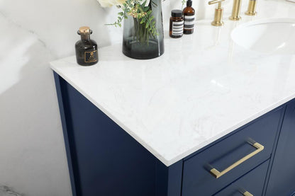 Elegant Furniture & Lighting - Irene 60 inch Single bathroom vanity in blue - VF18860BL veiw 12