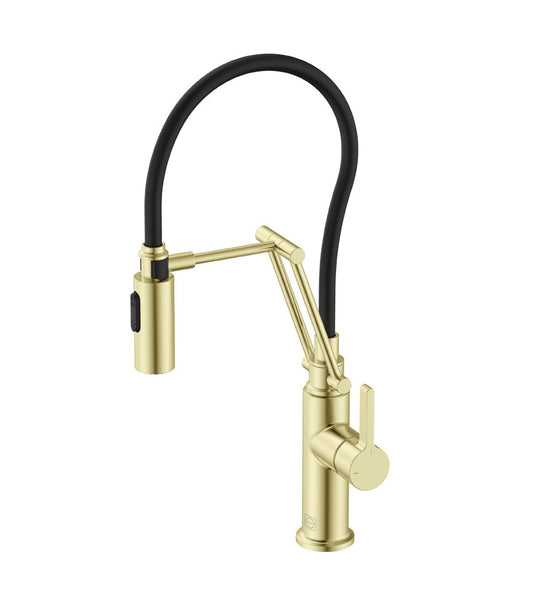 Elegant Furniture & Lighting - Leonardo Single Handle Pull Down Sprayer Kitchen Faucet in Brushed Gold - FAK-304BGD veiw 1