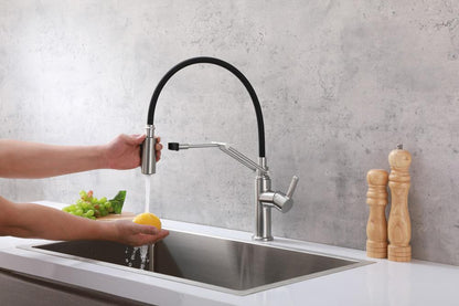 Elegant Furniture & Lighting - Leonardo Single Handle Pull Down Sprayer Kitchen Faucet in Brushed Nickel - FAK-304BNK veiw 5