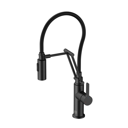 Elegant Furniture & Lighting - Leonardo Single Handle Pull Down Sprayer Kitchen Faucet in Matte Black - FAK-304MBK veiw 1