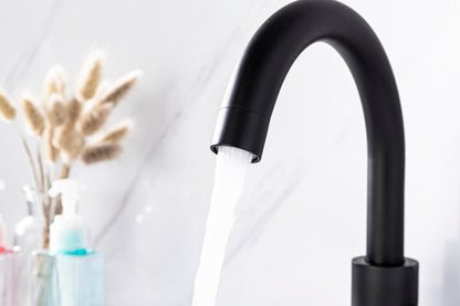 Elegant Furniture & Lighting - Louis Single Hole Single Handle Bathroom Faucet in Matte Black - FAV-1003MBK veiw 5