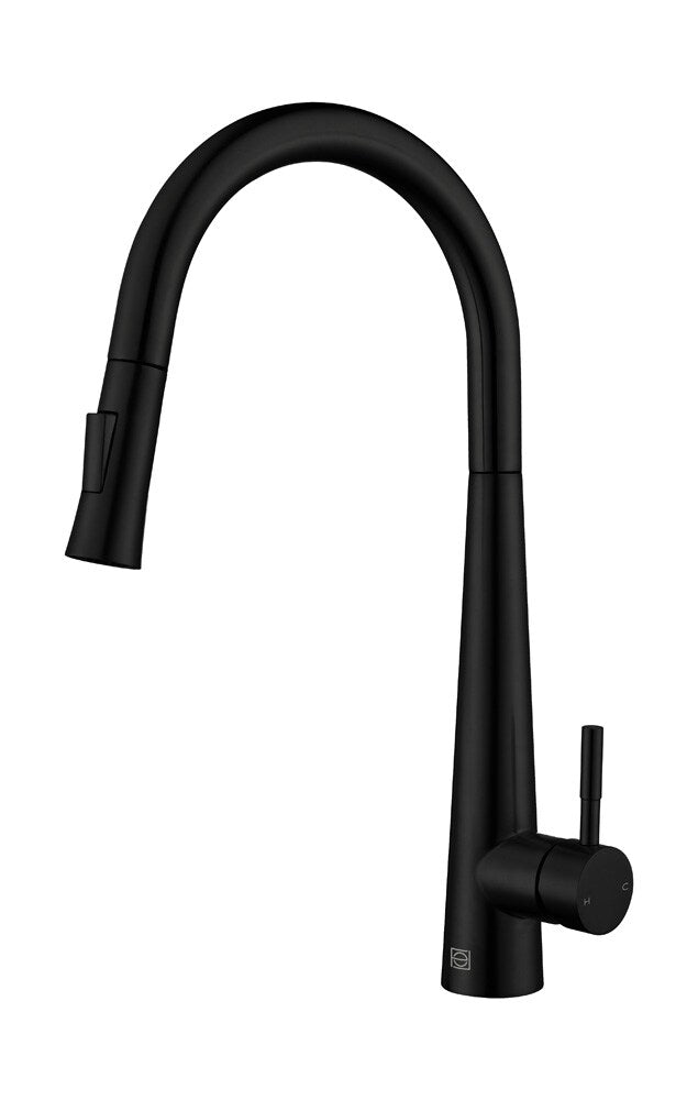 Elegant Furniture & Lighting - Lucas Single Handle Pull Down Sprayer Kitchen Faucet in Matte Black - FAK-301MBK veiw 1