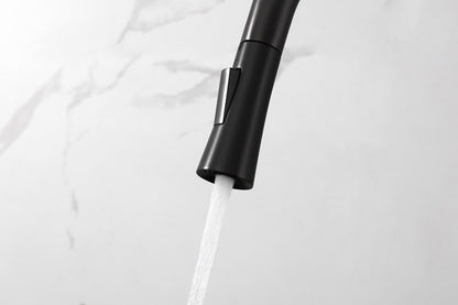 Elegant Furniture & Lighting - Lucas Single Handle Pull Down Sprayer Kitchen Faucet in Matte Black - FAK-301MBK veiw 5
