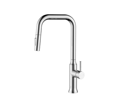 Elegant Furniture & Lighting - Noor Single Handle Pull Down Sprayer Kitchen Faucet in Chrome - FAK-311PCH veiw 1