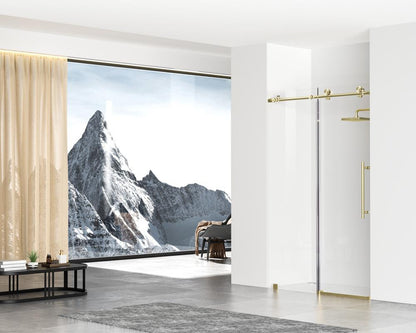 Elegant Furniture & Lighting - Raleigh Frameless shower door 48 x 76 Brushed Gold - SD101-4876BGD veiw 3