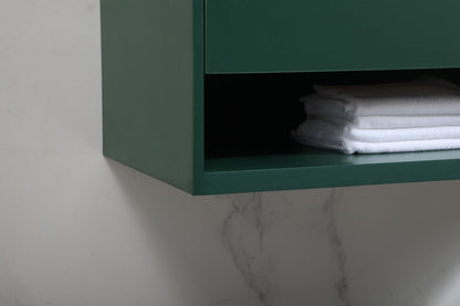 Elegant Furniture & Lighting - Roman 40 inch Single bathroom vanity in green - VF43540MGN veiw 13