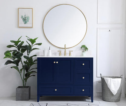 Elegant Furniture & Lighting - Sommerville 42 inch Single Bathroom Vanity in Blue with Backsplash - VF18042BL-BS veiw 10