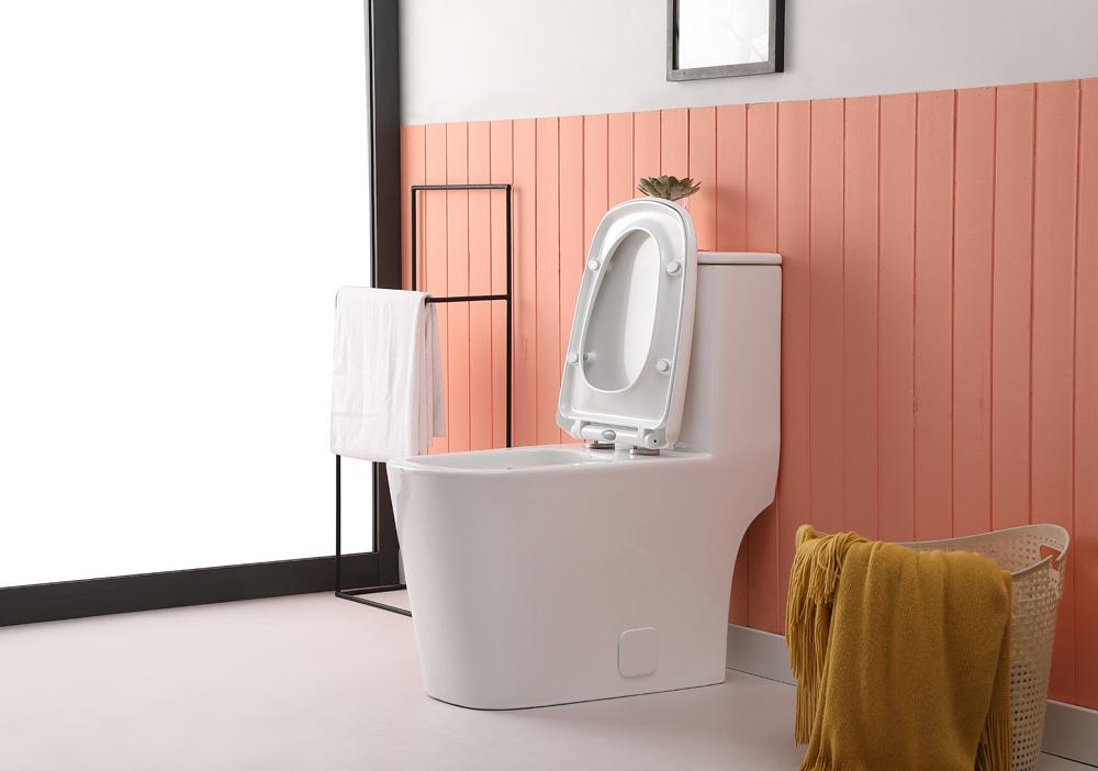 Elegant Furniture & Lighting - Winslet One-piece floor Square Toilet 27x14x31 in White - TOL2003 veiw 6