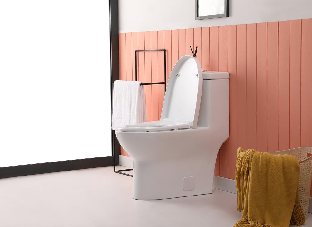 Elegant Furniture & Lighting - Winslet One-piece elongated Toilet 28x15x30 in White - TOL2001 veiw 5