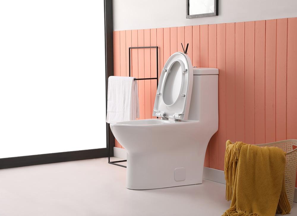 Elegant Furniture & Lighting - Winslet One-piece elongated Toilet 28x15x30 in White - TOL2001 veiw 6