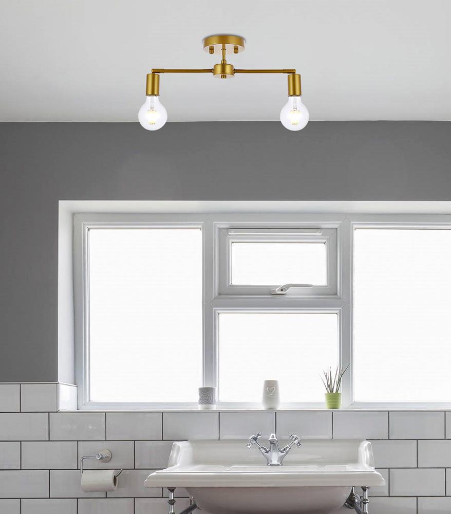 Elegant Furniture & Lighting - Zane 2 lights brass flush mount - LD2348BR veiw 8