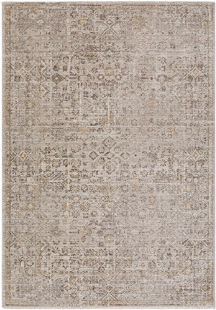Galey Alix x LIVABLISS - Myrtle Avenue - 53in x 77in Machine Woven Rug - GAMY2300-5377 veiw 1