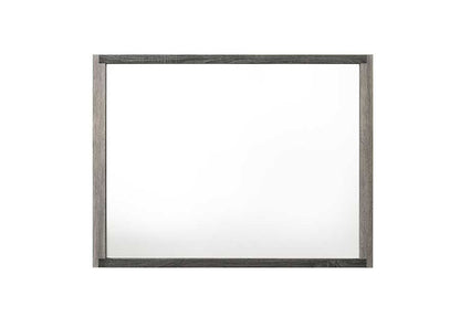 ACME Furniture - Jehoram Mirror - Gray Finish - BD02724 view 1