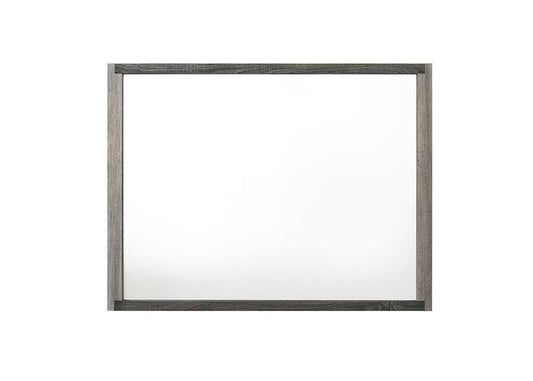 ACME Furniture - Jehoram Mirror - Gray Finish - BD02724 view 1
