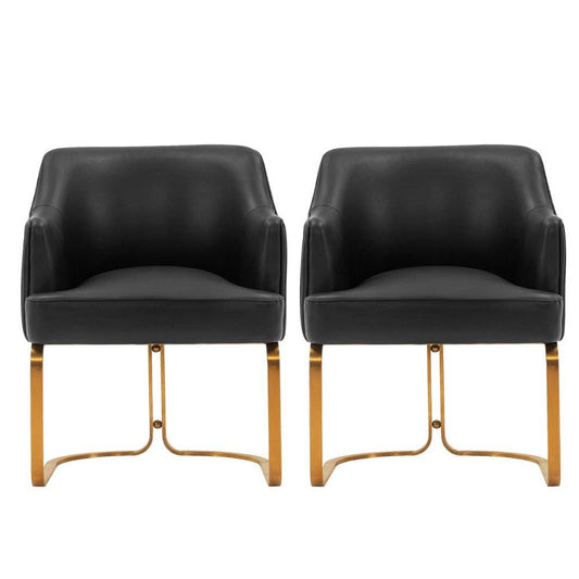 Manhattan Comfort - Raya Leatherette Dining Armchair with Stainless Steel Legs in Black - Set of 2 - 2-DC078-BK veiw 1