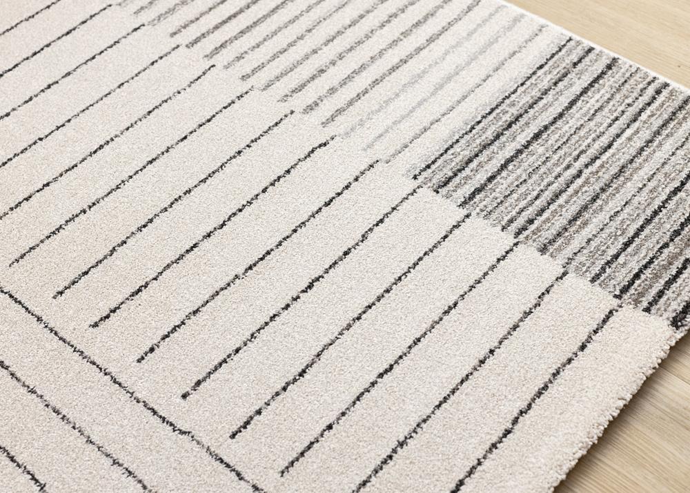 Kalora Interiors - Mae White Black Intricate Line Design Rug, 710in x 112in - 34183/6131 240340 veiw 4