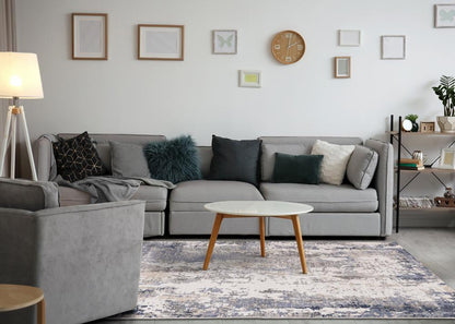 Kalora Interiors - Luca Blue Beige Distressed Rug, 67in x 96in - G193/0464 200290 veiw 3
