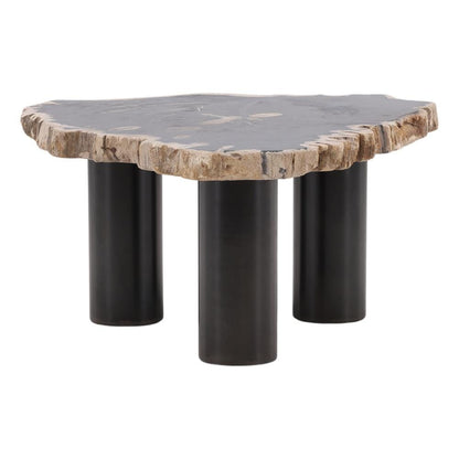 Henry & Mason - Sheji 15.75in Tall Natural Petrified Wood and Black Iron Coffee Table - DV7249 veiw 1