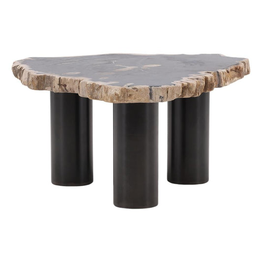 Henry & Mason - Sheji 15.75in Tall Natural Petrified Wood and Black Iron Coffee Table - DV7249 veiw 1