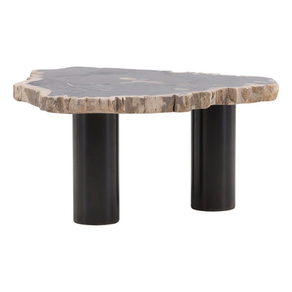 Henry & Mason - Sheji 15.75in Tall Natural Petrified Wood and Black Iron Coffee Table - DV7249 veiw 2