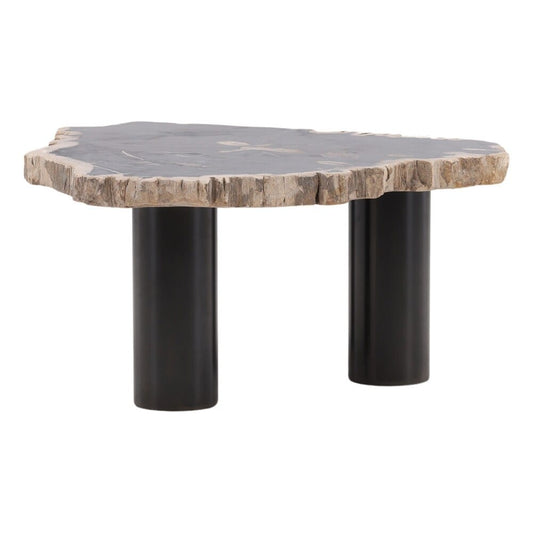 Henry & Mason - Sheji 15.75in Tall Natural Petrified Wood and Black Iron Coffee Table - DV7249 veiw 2