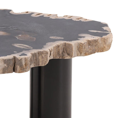 Henry & Mason - Sheji 15.75in Tall Natural Petrified Wood and Black Iron Coffee Table - DV7249 veiw 3