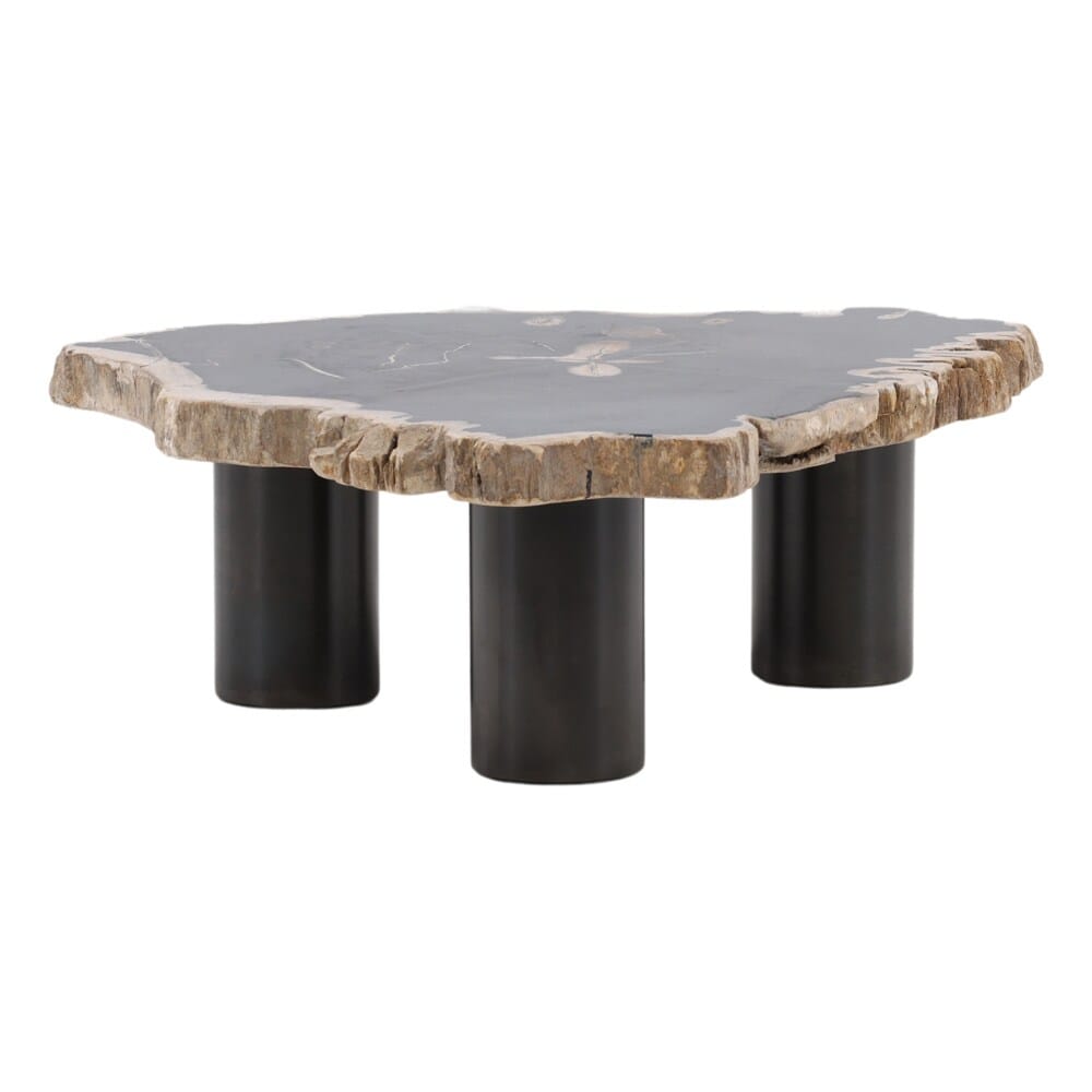Henry & Mason - Sheji 11in Tall Natural Petrified Wood and Black Iron Coffee Table - DV7250 veiw 1