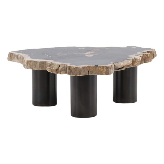 Henry & Mason - Sheji 11in Tall Natural Petrified Wood and Black Iron Coffee Table - DV7250 veiw 1