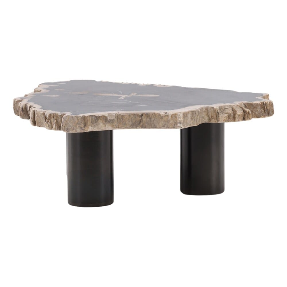 Henry & Mason - Sheji 11in Tall Natural Petrified Wood and Black Iron Coffee Table - DV7250 veiw 2