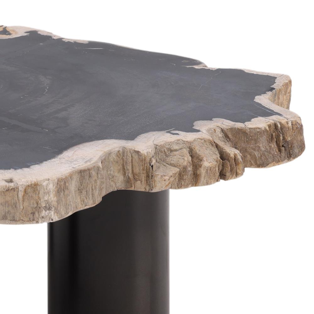 Henry & Mason - Sheji 11in Tall Natural Petrified Wood and Black Iron Coffee Table - DV7250 veiw 3