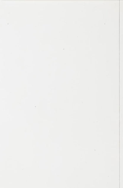 Legacy Classic Furniture - XxxS And OooS Windsor Side Chair (Set of 2) - TY4421-340 veiw 3